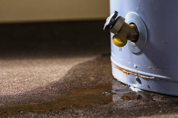 Best Professional water damage repair  in Northfield, OH