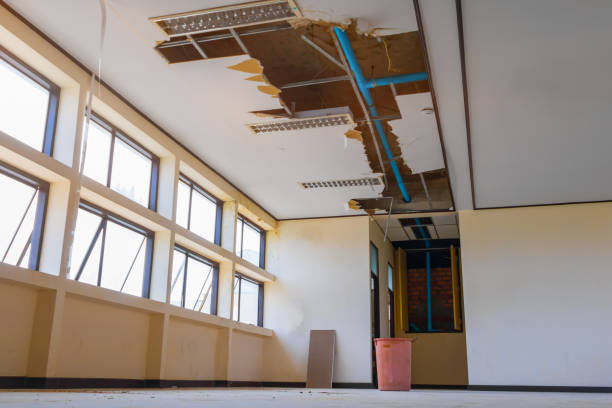 Best Water damage cleanup near me  in Northfield, OH