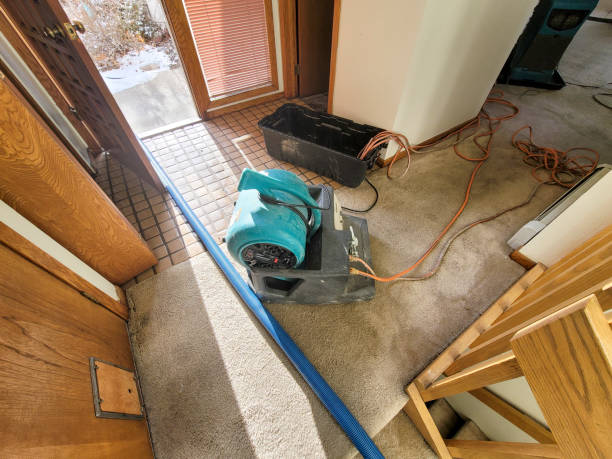 Best Ceiling water damage repair  in Northfield, OH