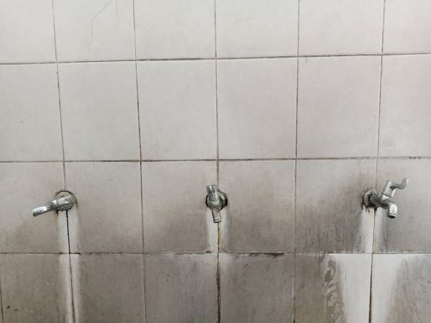 Best Flooded house restoration  in Northfield, OH