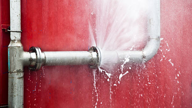 Best Professional water damage repair  in Northfield, OH